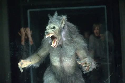 31 Best Werewolf Movies for a Howling Good Halloween - Parade