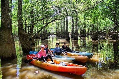 Honey Island Extended Swamp Adventure | New Orleans Kayak Swamp Tours