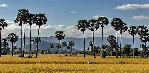 Takeo Province, the land to discover in Cambodia