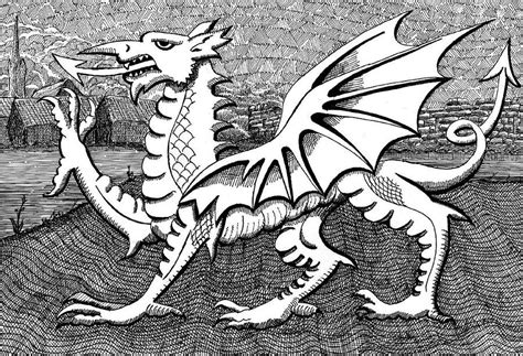 How To Draw Welsh Dragon - Longfamily26