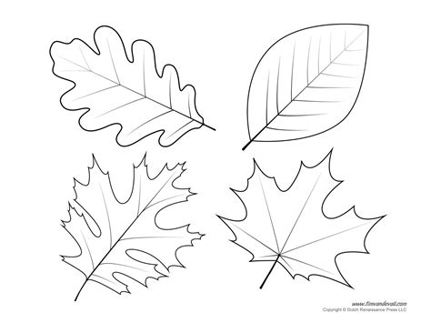 Free Printable Oak Leaf Patterns | Free Printable