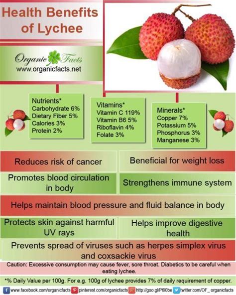 Fruit Benefits Of Lychee - Herbs and Food Recipes