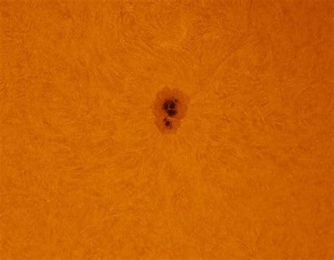 Structure Of Sun | Sunspots, Prominences And Solar Wind | The Secrets Of The Universe