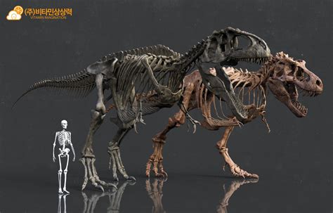 Giganotosaurus Size Comparison To T Rex