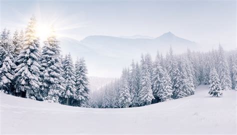 Download Landscape Forest Sunshine Sun Mountain Nature Winter 4k Ultra HD Wallpaper