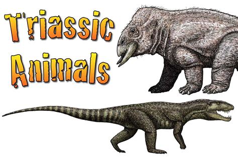 Triassic Animals – Discover The Animals That Lived In The Triassic Period