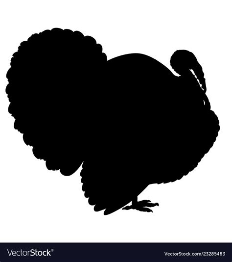 Turkey silhouette isolated on the white background