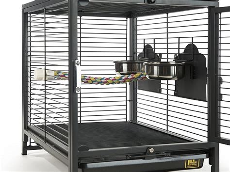 Best 6 Zebra Finch Cages Making Your Bird Happy 2022 Reviews