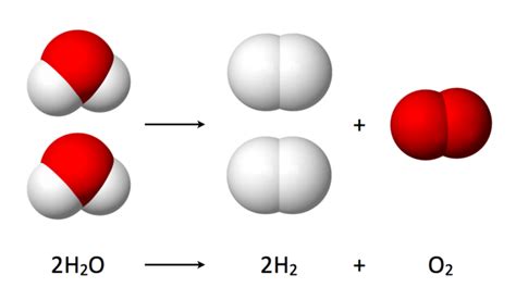 2.3.2: Energy Changes in Chemical Reactions - Biology LibreTexts