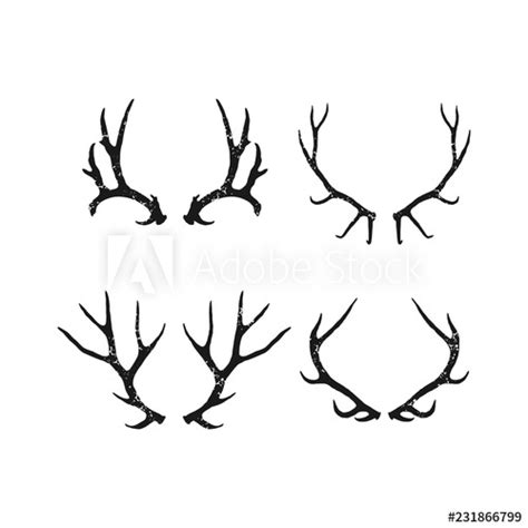 Elk Antler Vector at Vectorified.com | Collection of Elk Antler Vector ...