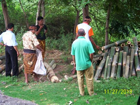 DESA KARANG BAJO - LOMBOK UTARA: Penanaman Bambu Petung Sebagai Penangkal Erosi