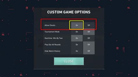 How to Use Cheats in Valorant Custom Game? | Theprofox