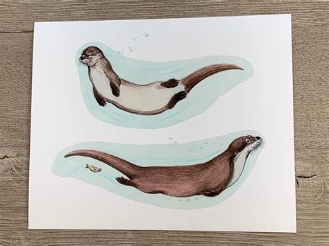 Swimming Otter Drawing