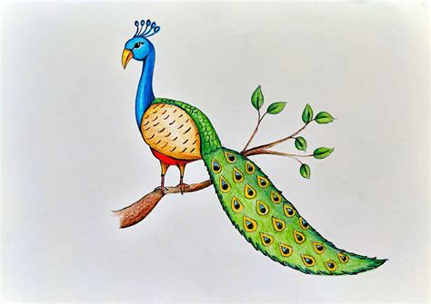 how to draw a beautiful peacock step by step for kids | Easy drawings for kids, Peacock drawing ...