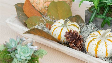 Fall Decorating Tips | Pumpkins and Gourds | Mulhall's Garden + Home