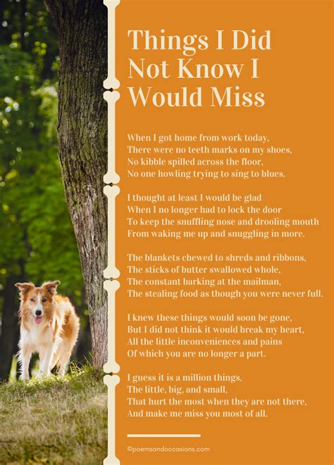 Dog Loss Poems