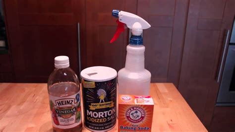 Safe and Easy Homemade Flea Control Solutions – 101 Ways to Survive