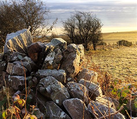 Walks - Mendip Hills AONB