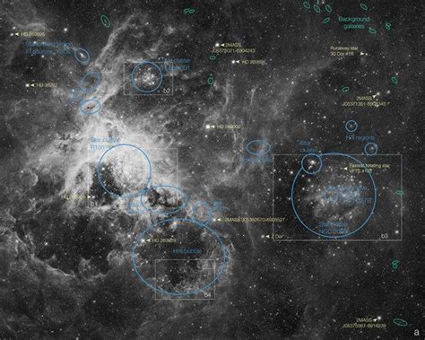 Cosmic Spider: Amazing Tarantula Nebula Photos | Hubble photos, Nebula, Hubble