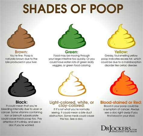 16 Ways to Achieve a Healthy Poop!! - DrJockers.com