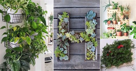 23 DIY Indoor Plant Wall Projects Anyone Can Do | Living Wall Ideas Fo