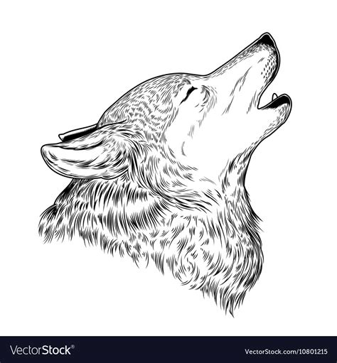 A howling wolf Royalty Free Vector Image - VectorStock