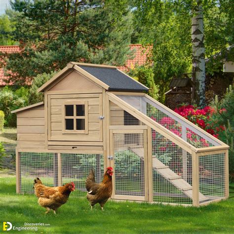 Small Backyard Chicken Coop Ideas