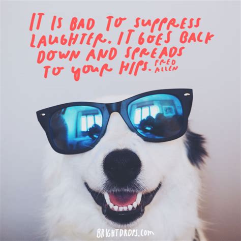 15 Funny Motivational Quotes to Inspire You - Bright Drops