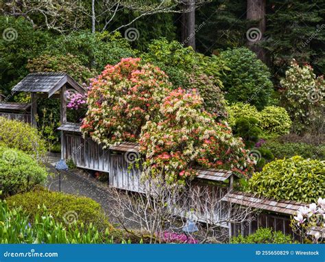 Arch in the Entrance of the Garden Stock Image - Image of architecture, beauty: 255650829