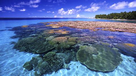 Great Barrier Reef Wallpaper (61+ images)