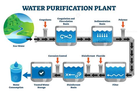 Water purification plant filtration process explanation vector illustration - VectorMine