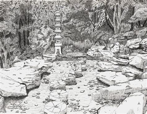 Merriweather Zen Garden Drawing by David Cochran - Fine Art America