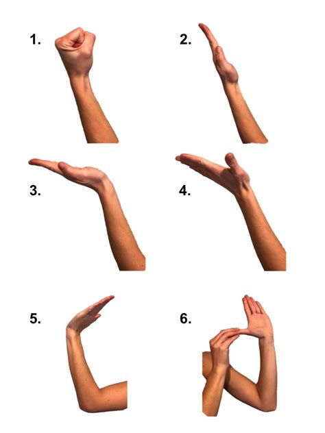 Carpal Tunnel Exercises - Nerve Gliding Exercises - Raleigh Hand ...