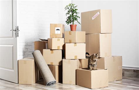 Moving Box Sizes - What to Pack in What Size Boxes When Moving