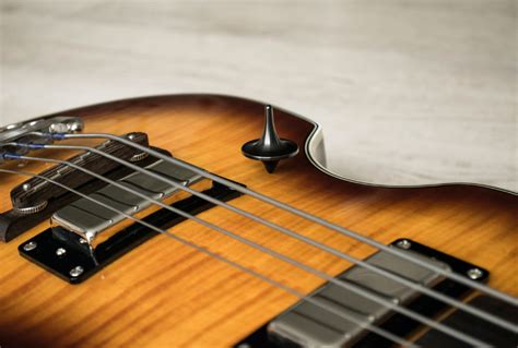 The Best Fretless Bass Guitars You Will Love - Guitar Space