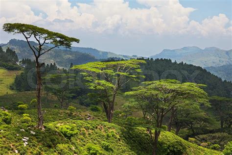 Sri Lanka landscapes | Stock image | Colourbox