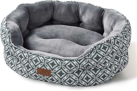 Amazon.ca: cat beds