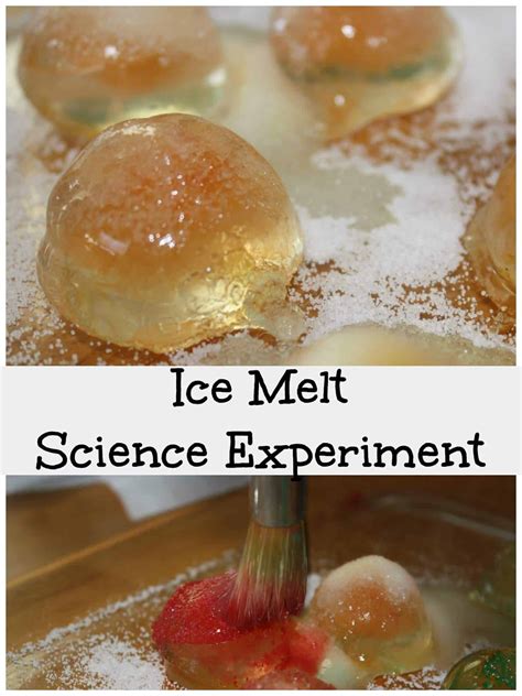 Ice Melt Science Experiment {Science Saturday}