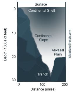 The Mariana Trench - Oceanography