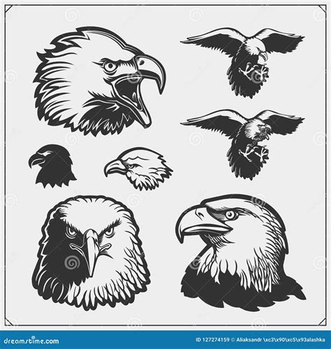 Set of Eagles. Emblems and Template for Sport Club Design Stock Vector - Illustration of head ...