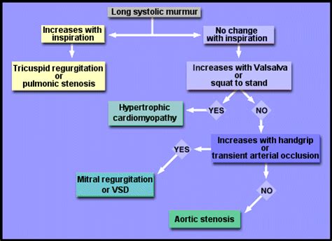 Teaching Tips - Heart Sounds & Murmurs Exam - Physical Diagnosis Skills ...