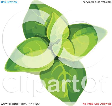 Clipart of a Marjoram Plant - Royalty Free Vector Illustration by Vector Tradition SM #1447129