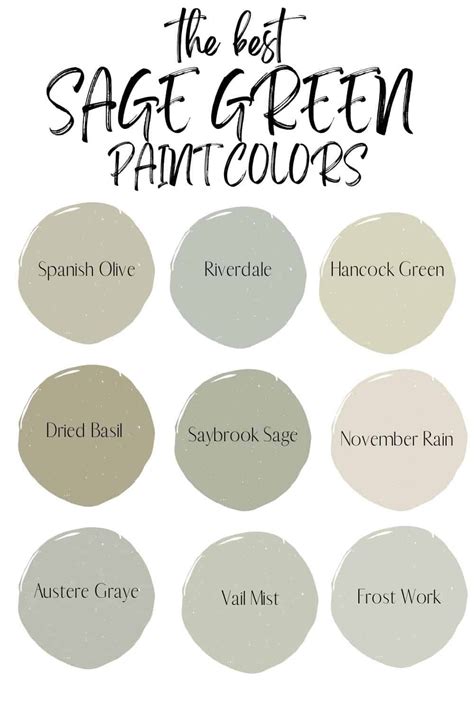 Top 13 Sage Green Paint Colors for Your Home