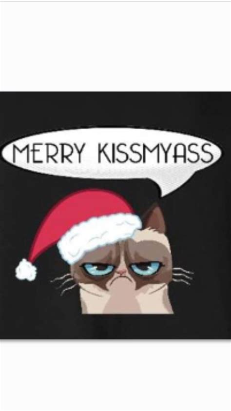 Pin by Jon Valentine on Grumpy Cat for Prez | Grumpy cat, Poster, Merry