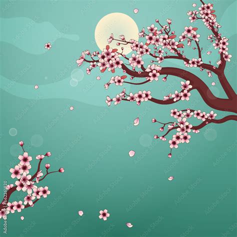 Beautiful cherry blossom background with a full moon. Vector ...