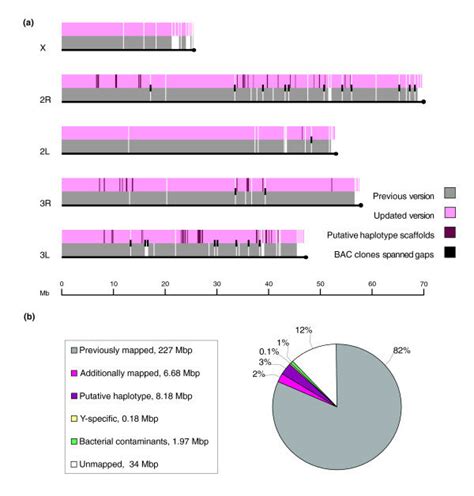 A comparison of the initial and updated versions of the Anopheles... | Download Scientific Diagram