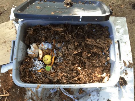 DIY Worm Composting Bin - The garden!