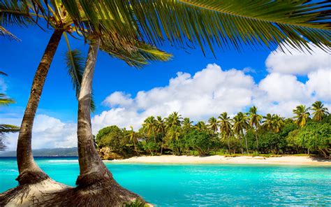 Tropical sea - Beach, palms and sunny Wallpaper Download 5120x3200