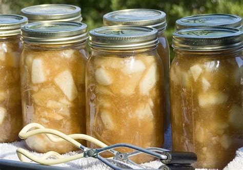 Canning 101: Spiced Apples - Feathers and Fruit