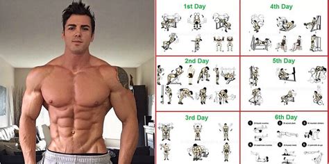 Total Body Workout Routine And How To Set Up Your Workout For Optimal ...